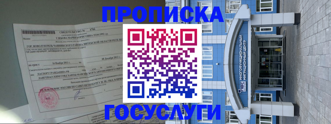временная регистрация госуслуги в Щёлково