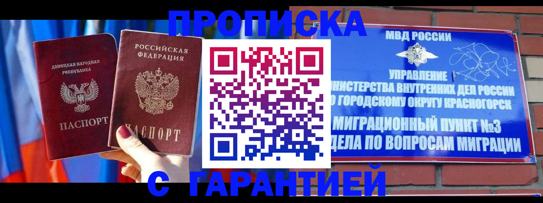 временная прописка в Щёлково